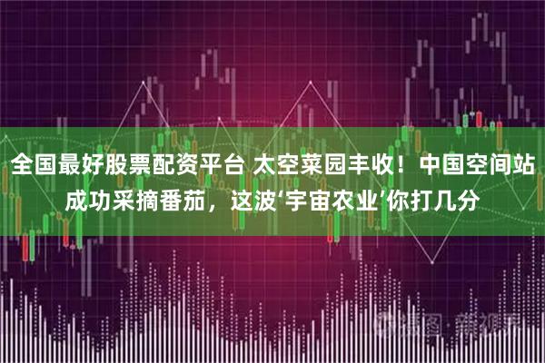 全国最好股票配资平台 太空菜园丰收！中国空间站成功采摘番茄，这波‘宇宙农业’你打几分
